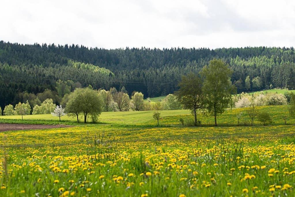 Gästehaus Kohlberg Kohlberg  Exterior foto